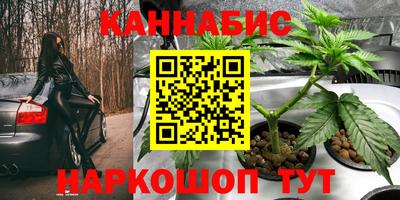 кокс Краснодар
