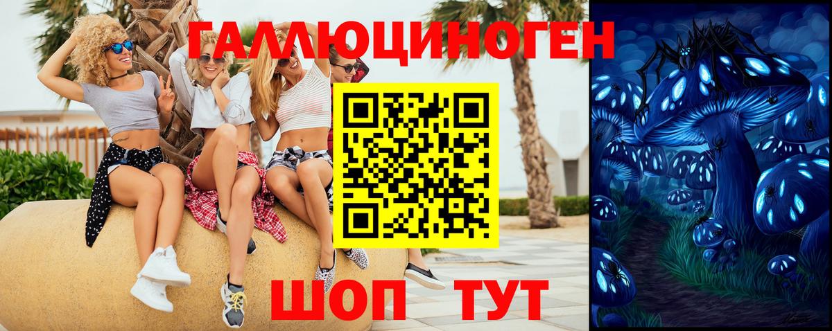 Галлюциногенные грибы мицелий  Псилоцибиновые грибы Psilocybine cubensis  Вход с VPN  Кировск 